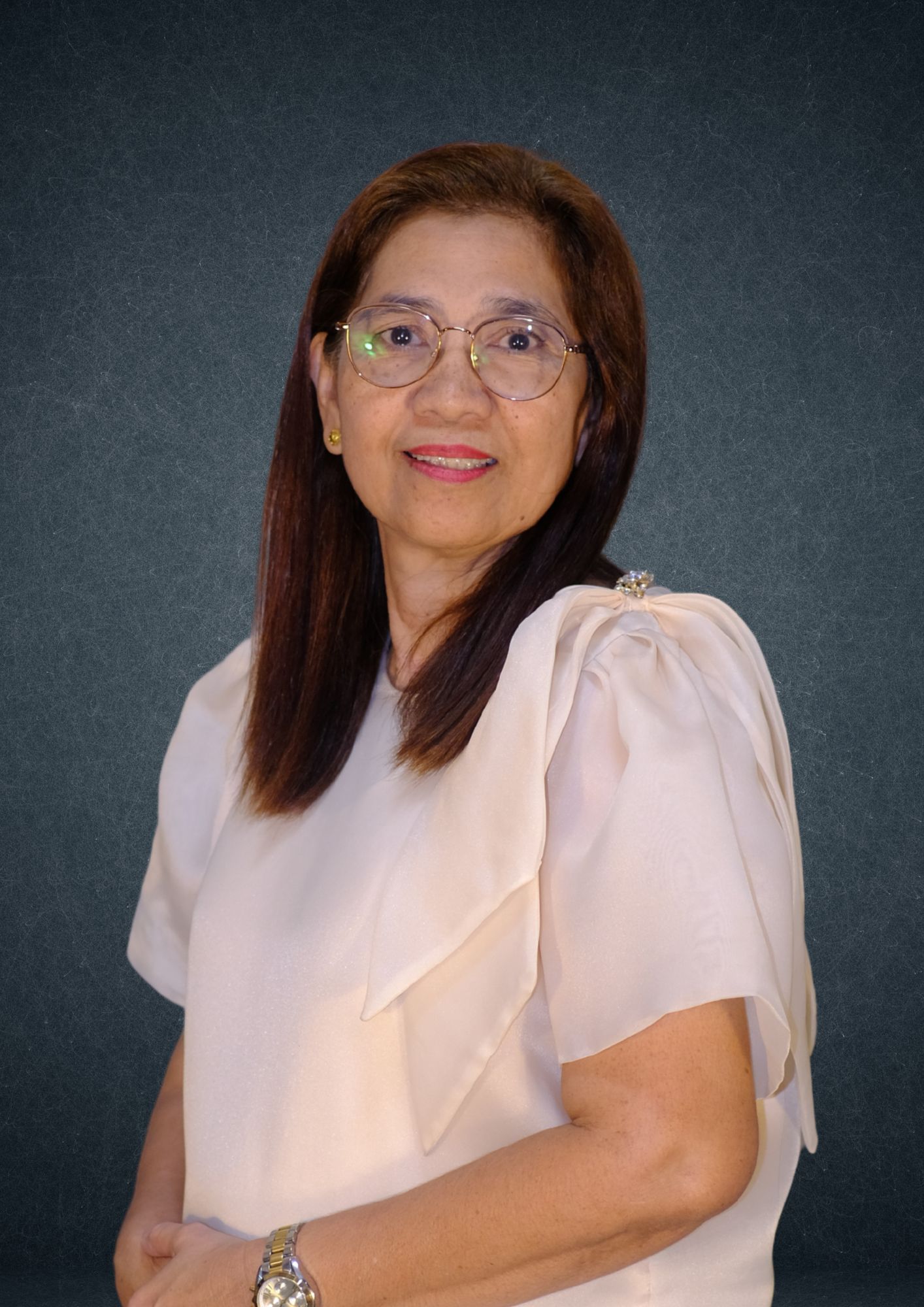 Business Permit and Licensing Office (BPLO)