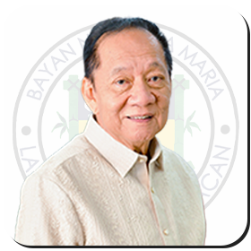 Official portrait of Hon. Bartolome "Omeng" R. Ramos, Municipal Mayor