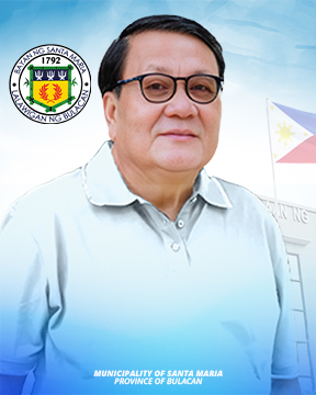 Official portrait of Hon. Leovigildo A. Ramos, ABC President