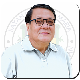 Official portrait of Hon. Leovigildo A. Ramos, ABC President