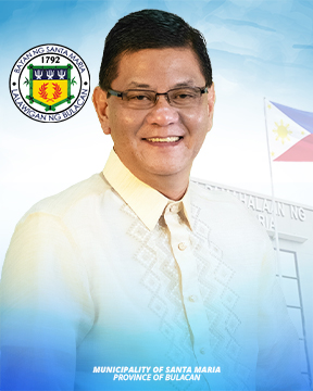 Official portrait of Hon. Nelson Carmelo V. Luciano, Municipal Councilor